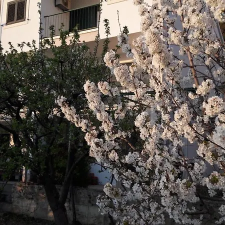 Apartman Luni Apartament